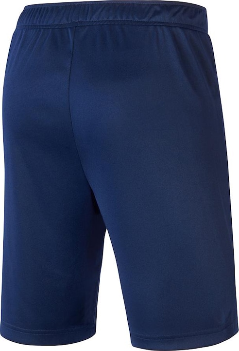 Actual product image Mizuno Nara Trainng Short (XL)