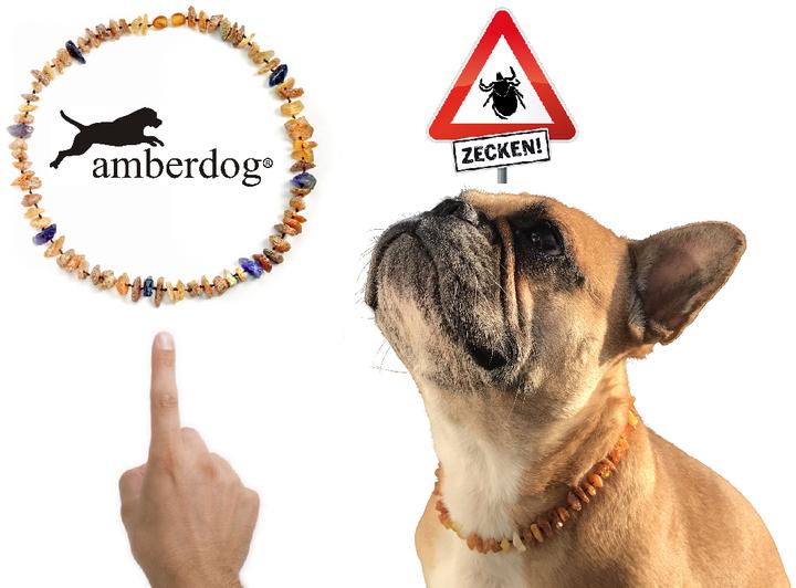 Amber necklace