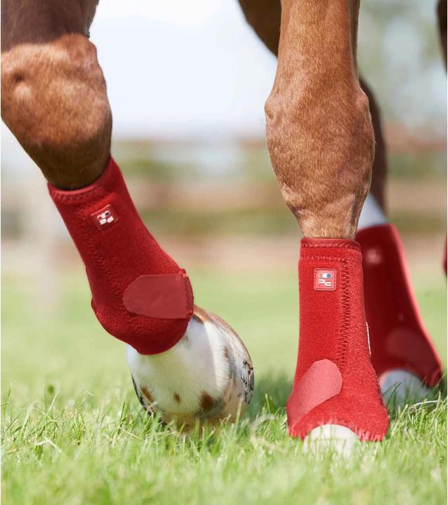 Actual product image Premier Equine horse gaiters preier equine air-tech sports edecine