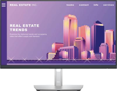 Actual product image Dell P2422H (1920 x 1080 pixels, 23.80")