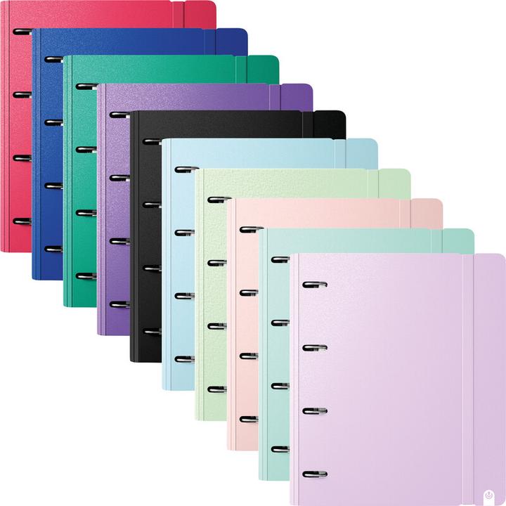 Produktbild Carchivo Ringbuch mit Inhalt Carpeblock 360 (A4, 40 mm)