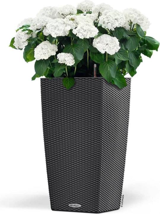 Actual product image Lechuza Cubico Cottage (39.50 cm)