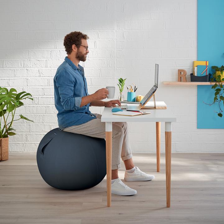 Produktbild Leitz Ergo Cosy Active Sitzball (65 cm)