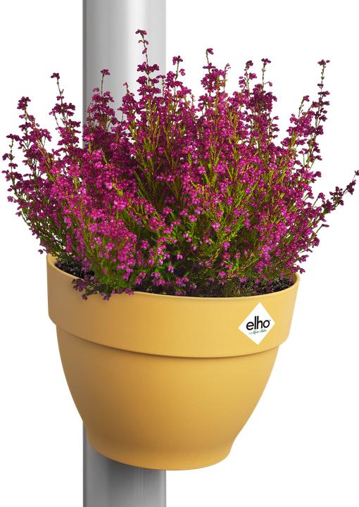 Actual product image Elho Vibia Campana (21.60 x 16.30 cm)