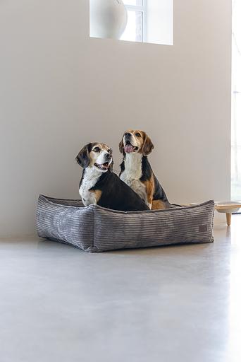 Actual product image Designed by Lotte Ribbed (Dog)
