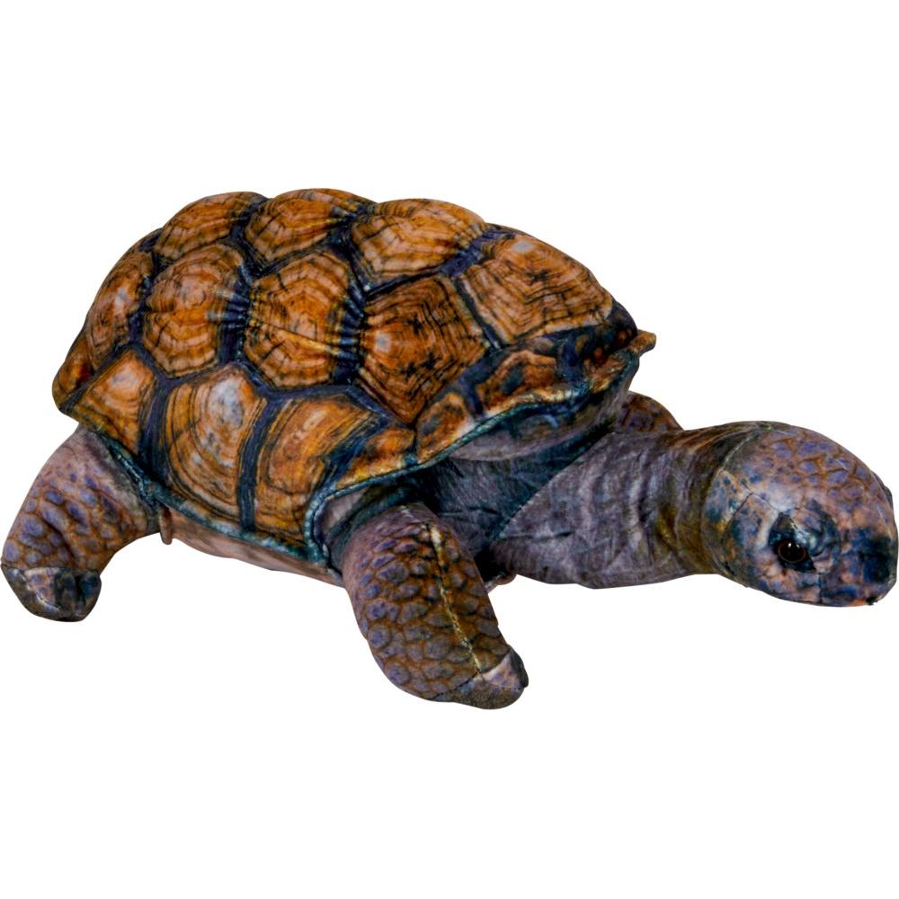 Die Spiegelburg Schildkrte (57247986)