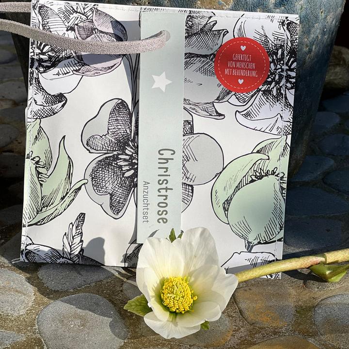 Produktbild Wunderle Wundertüte Weihnachtsgruss Christrosen Anzuchtset (Geschenktüte, 1 x)