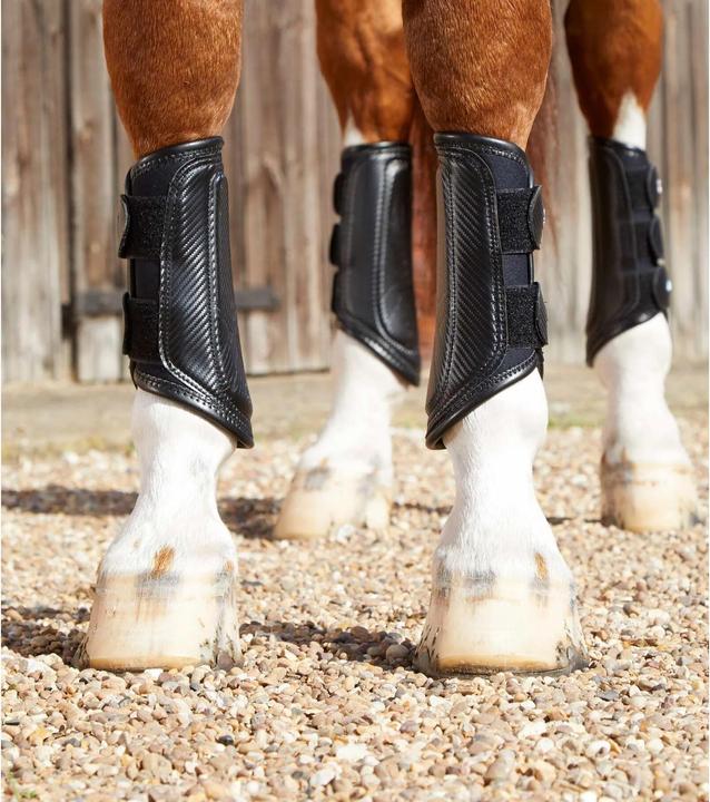 Produktbild Premier Equine Air-Tech (L)