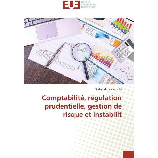 Comptabilité, régulation prudentielle, gestion de risque et instabilit, Fachbücher von Slaheddine Yagoubi