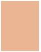 Image du produit MAC Cosmetics Studio Fix Fluid (NW13)