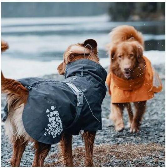Produktbild Hurtta Regenmantel Monsoon Coat (80, L, Hunderegenmantel)