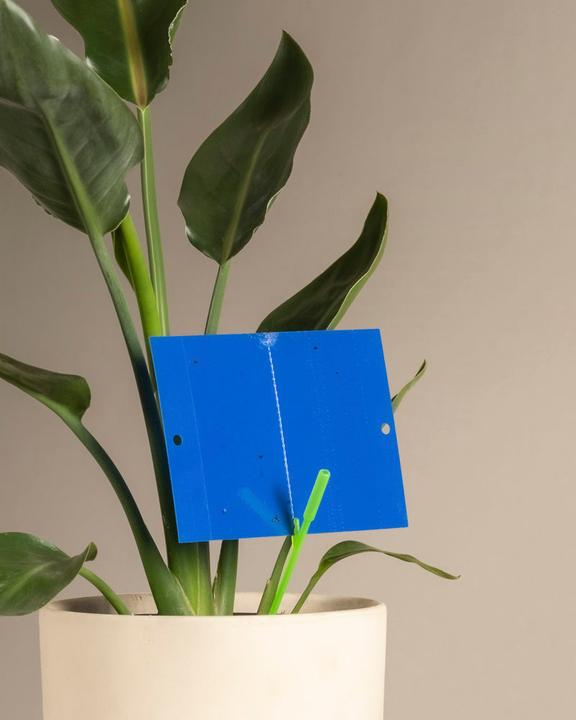 Produktbild feey Blautafeln