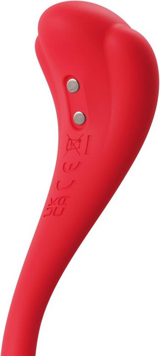 Image du produit Svakom Phoenix Neo 2