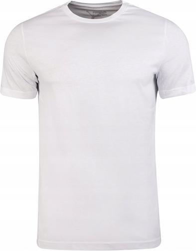 Actual product image Puma BPPO-000408 BLANK BASE - Men's TEE (XL)
