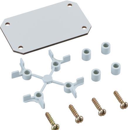 Actual product image Spelsberg TK Mounting plate for plastic housing (Various)