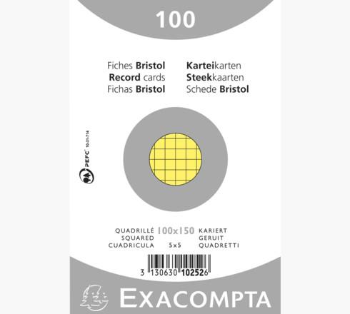 Exacompta Fiches, DIN A7, quadrillées, couleurs assorties (A7)