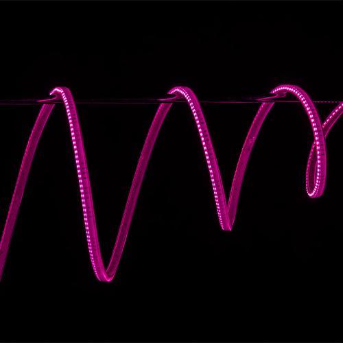 Thumbnail - Atomos Sun Dragon 5m (Weitere Dauerlichter), Dauerlicht, Transparent