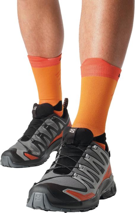 Produktbild Salomon XA Pro 3D V9 GTX (42)