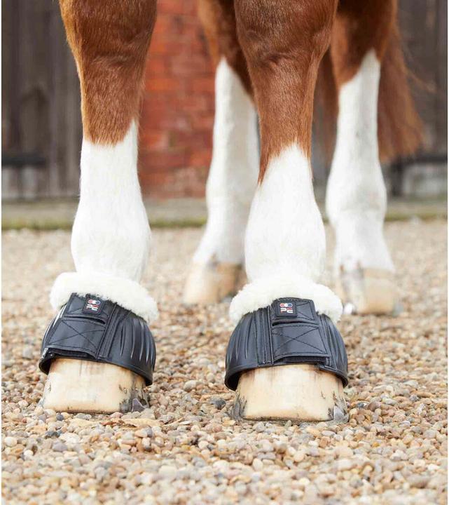 Immagine prodotto Premier Equine Techno (L)