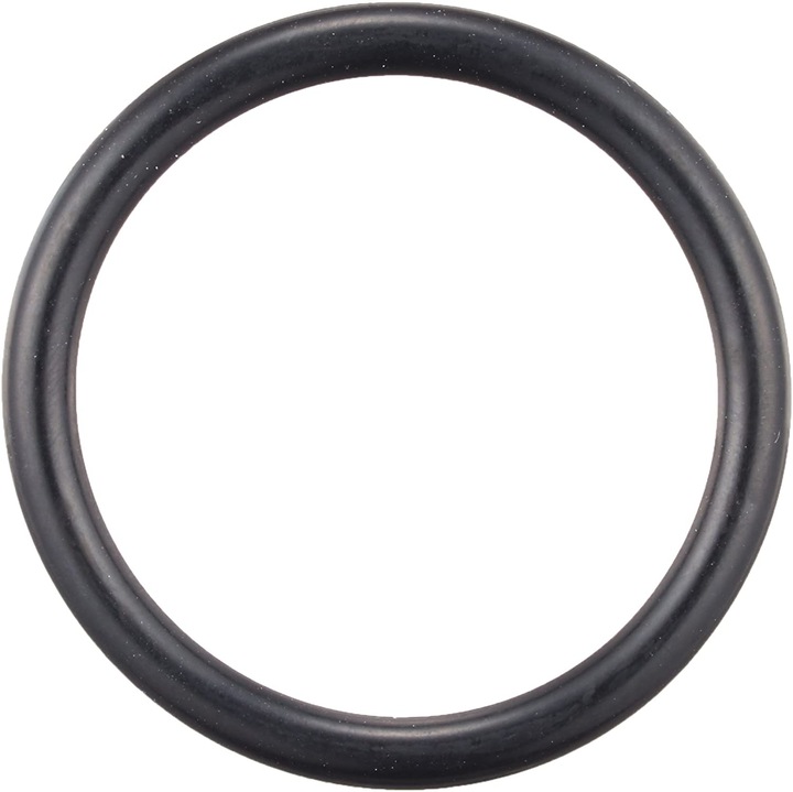 Produktbild Fissler O-Ring für Sockel vitavit royal (Kunststoff)
