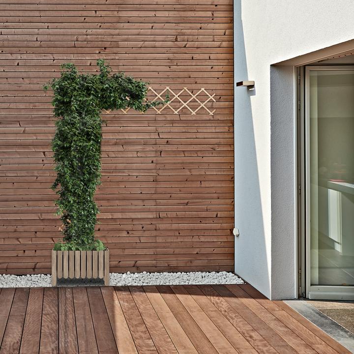 Image du produit Relaxdays 3x treillis (1.50 cm, 30 cm)