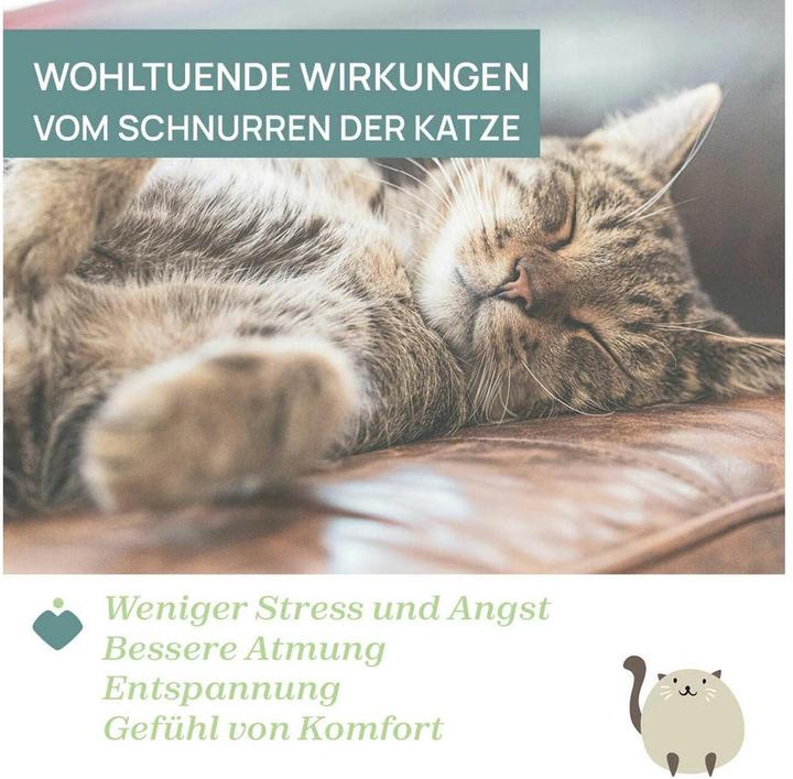 Actual product image Chicco Purring cat