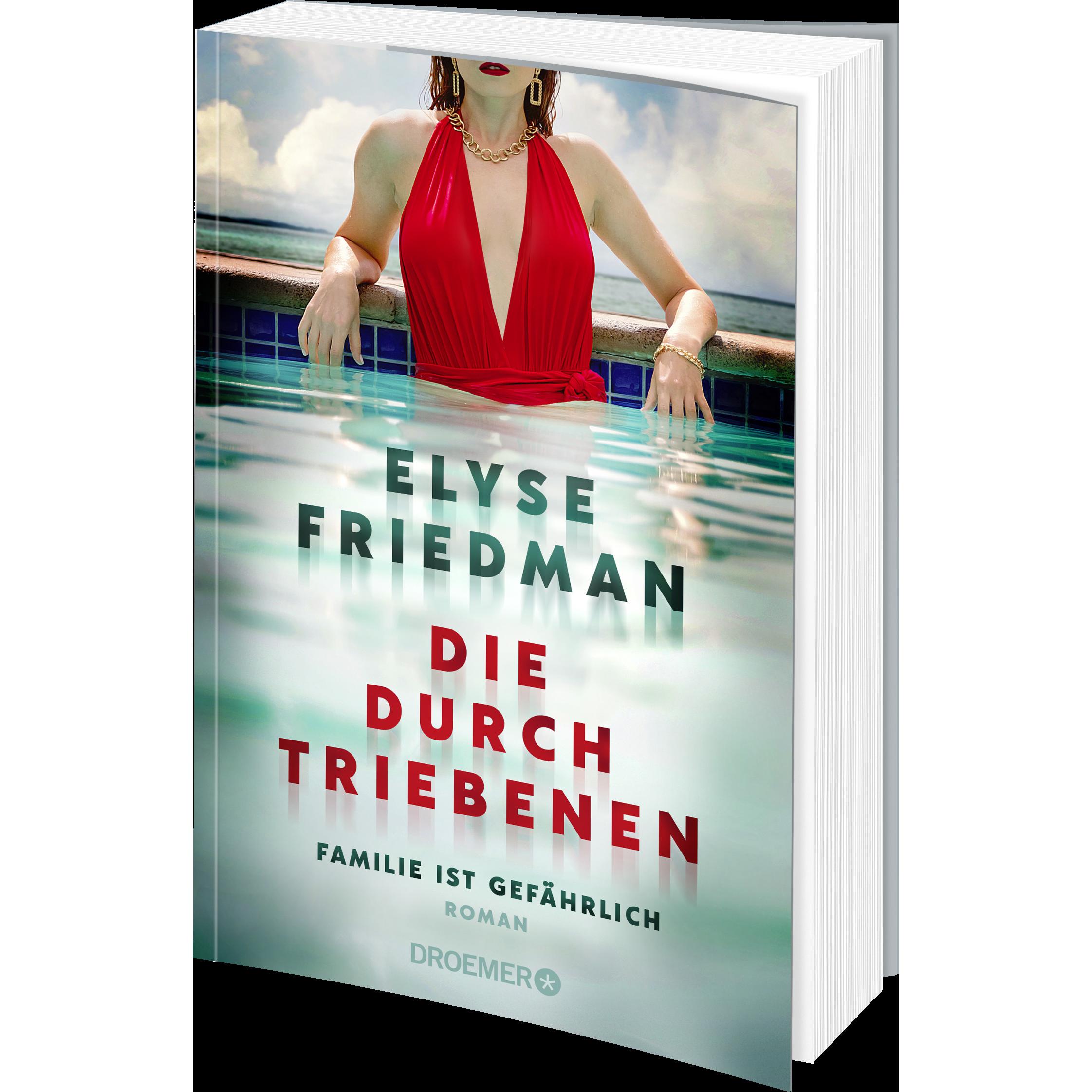 Thumbnail - Die Durchtriebenen, Belletristik von Elyse Friedman