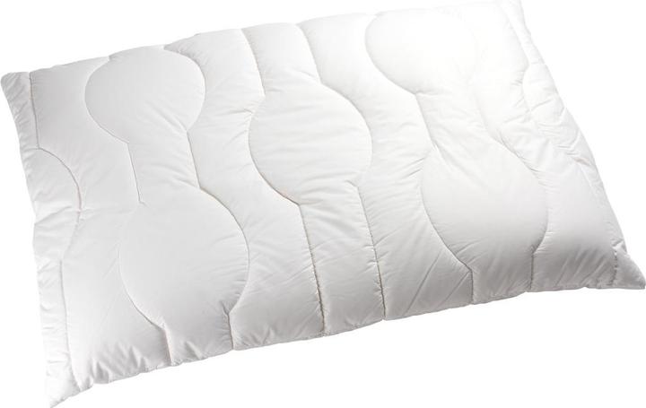 Image du produit Johann Jakob Luna-Linolana (50 x 70 cm)