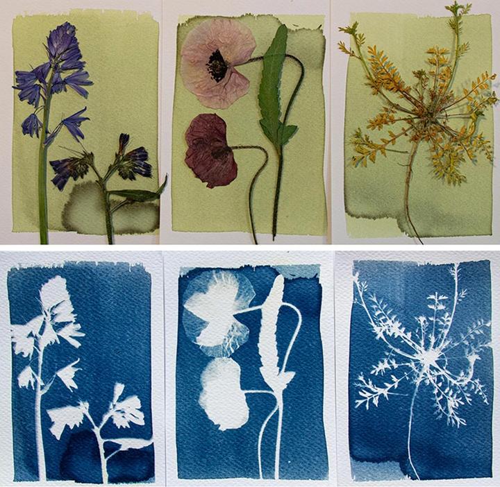 Produktbild Botanopia Cyanotype DIY Komplettset