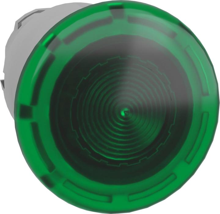 Actual product image Schneider Electric Green Mushroom Push Button Head for LED