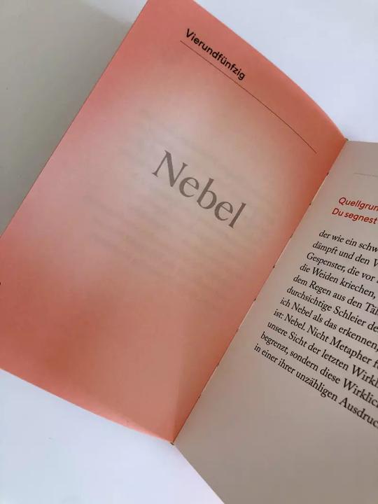 Immagine prodotto Die Kraft des Staunens (Tedesco, David Steindl-Rast, 2022)
