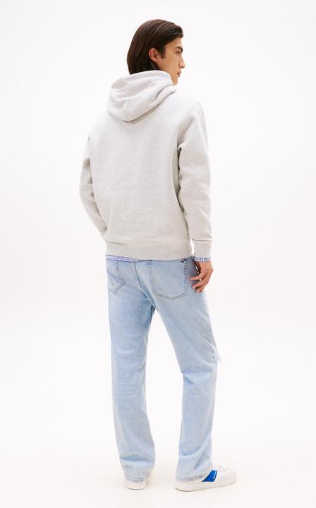 Image du produit Tommy Jeans Tjm Reg Linear Logo Hoodie Ext (L)