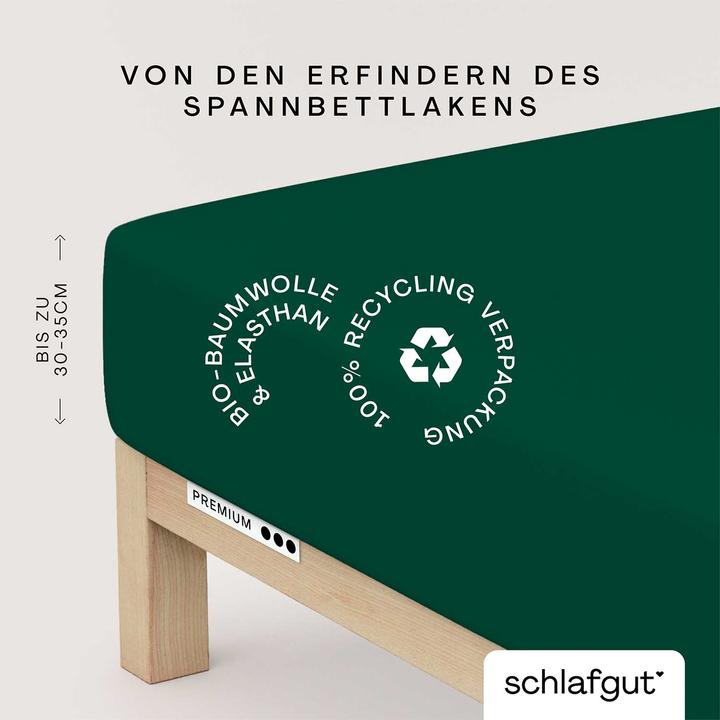 Produktbild schlafgut Premium (120 x 200 - 130 x 220 cm)