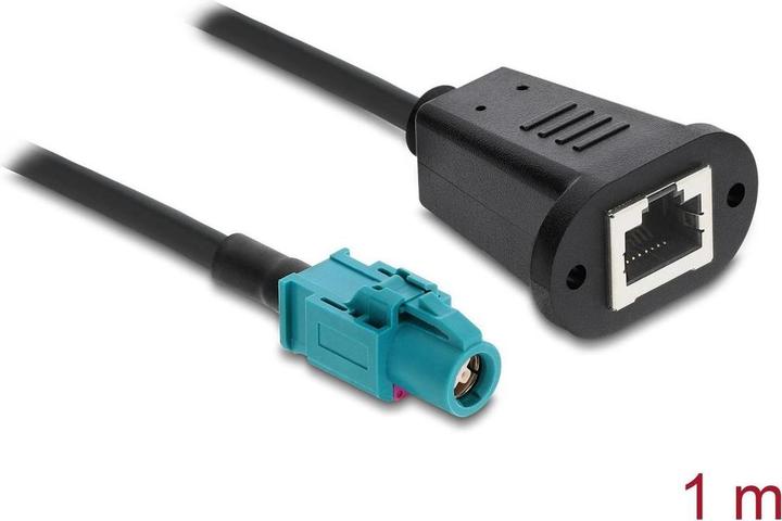 Delock Kabel HSD Z Buchse zu RJ45 Buchse 1 m