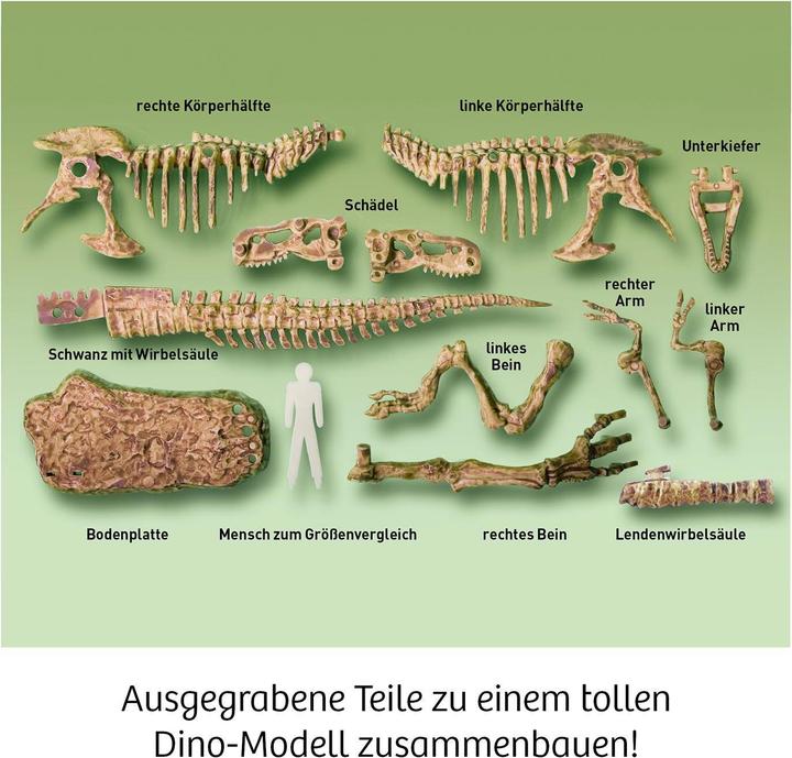Immagine prodotto Kosmos Kit sperimentale T-Rex 3D