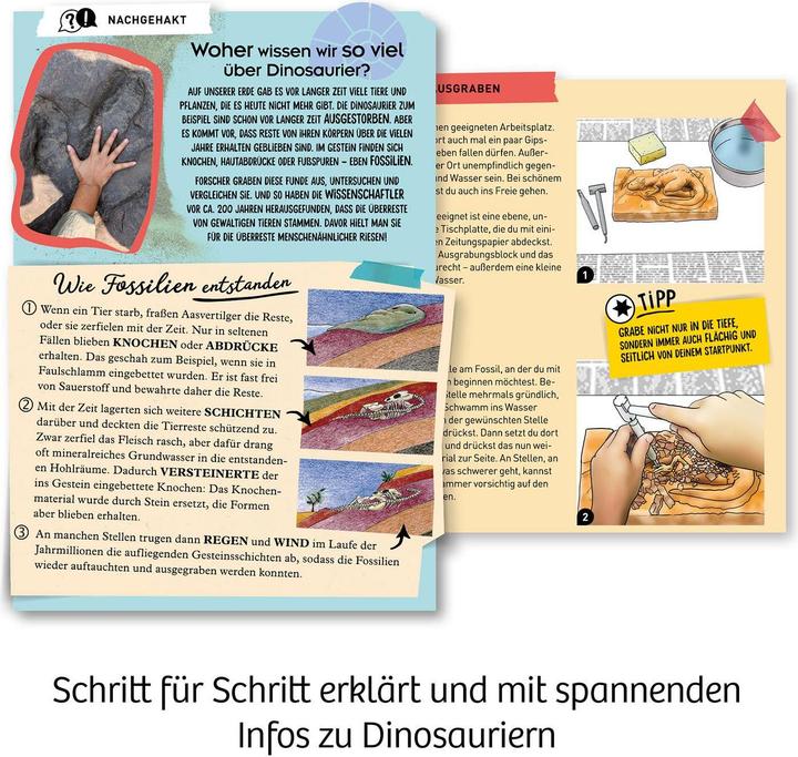 Immagine prodotto Kosmos Kit sperimentale T-Rex 3D