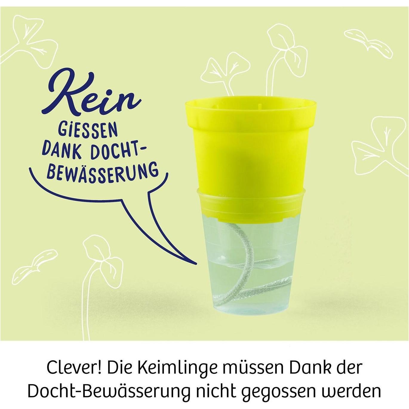 Thumbnail - Kosmos Experimentierkasten Microgreen-Garten