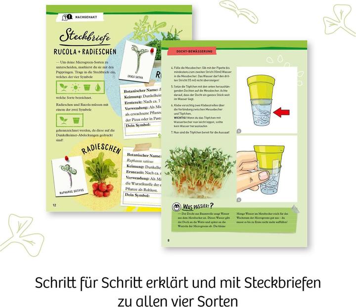 Produktbild Kosmos Experimentierkasten Microgreen-Garten