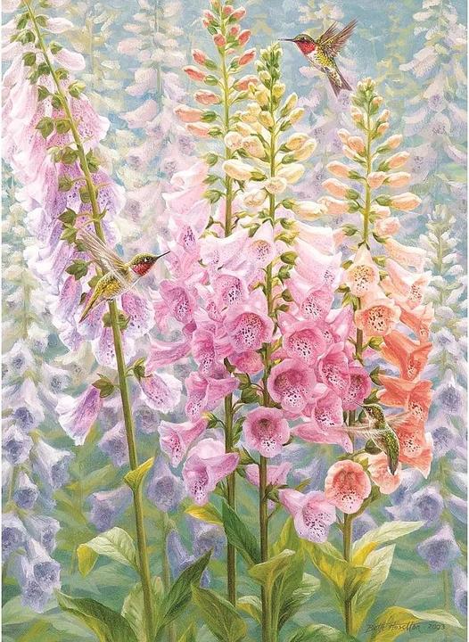 Produktbild Cobble Hill Blumen im Sommer 500 Teile (500 Teile)