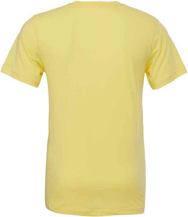 Actual product image Bella Canvas Adults Unisex Crew Neck T-Shirt (S)