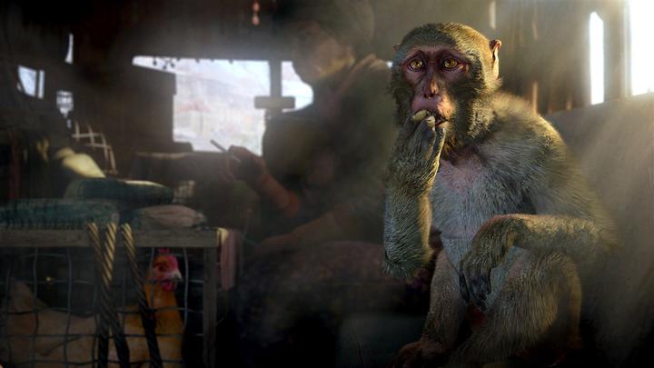 Image du produit Ubisoft Far Cry 4 (PS4, EN)