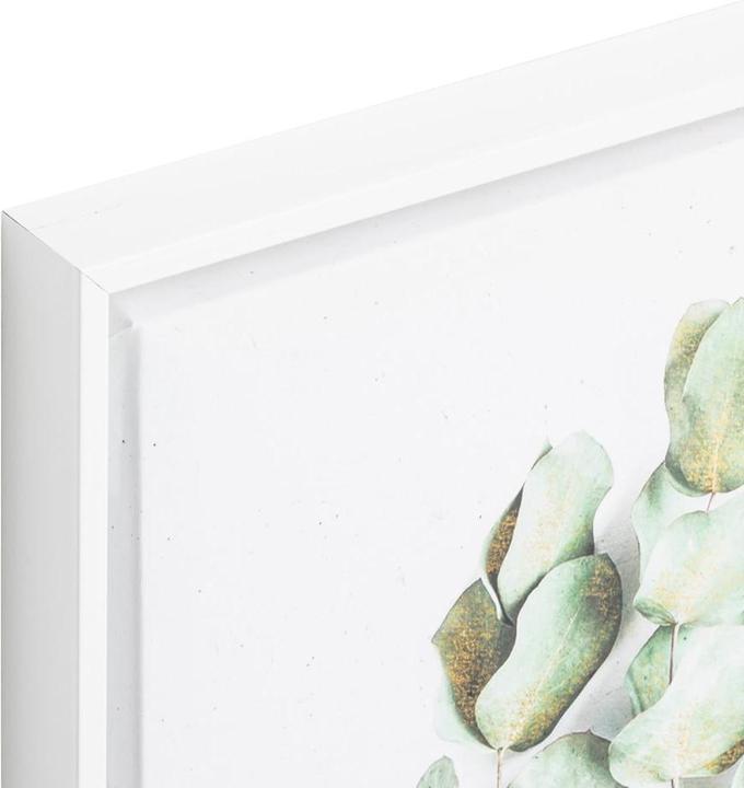 Immagine prodotto edy&liv Muen (50 x 50 cm)