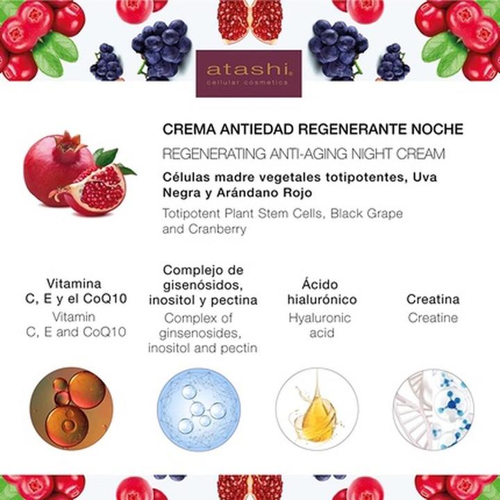 Produktbild Atashi CELLULAR ANTIOXIDANT SKIN DEFENSE crema antiedad regenerante 50 ml (50 ml, Nachtcreme)