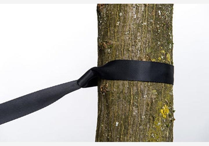 Image du produit Amazonas 2-in-1 Treehugger