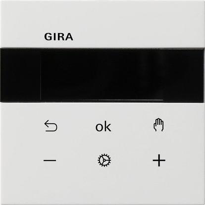 Gira RTR Display 5393112