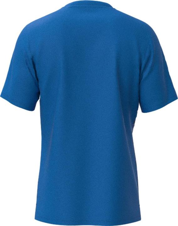 Actual product image Mizuno Chiba Tee M (S)