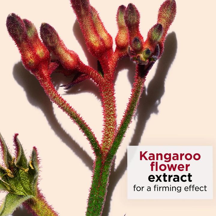 Image du produit Clarins Total Eye Smooth (Crème pour les yeux, 15 ml)