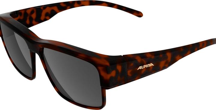 Produktbild Alpina Conceal P