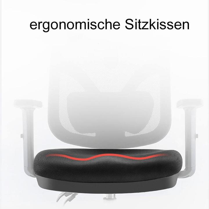 Actual product image Sihoo Office chair (45 - 53 cm)