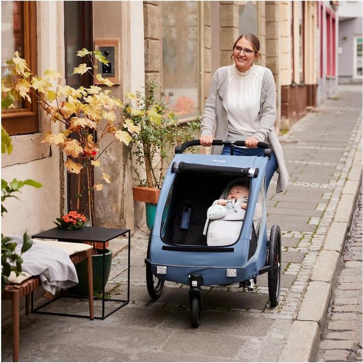 Produktbild Hauck Dryk Duo Plus Fahrradanhänger